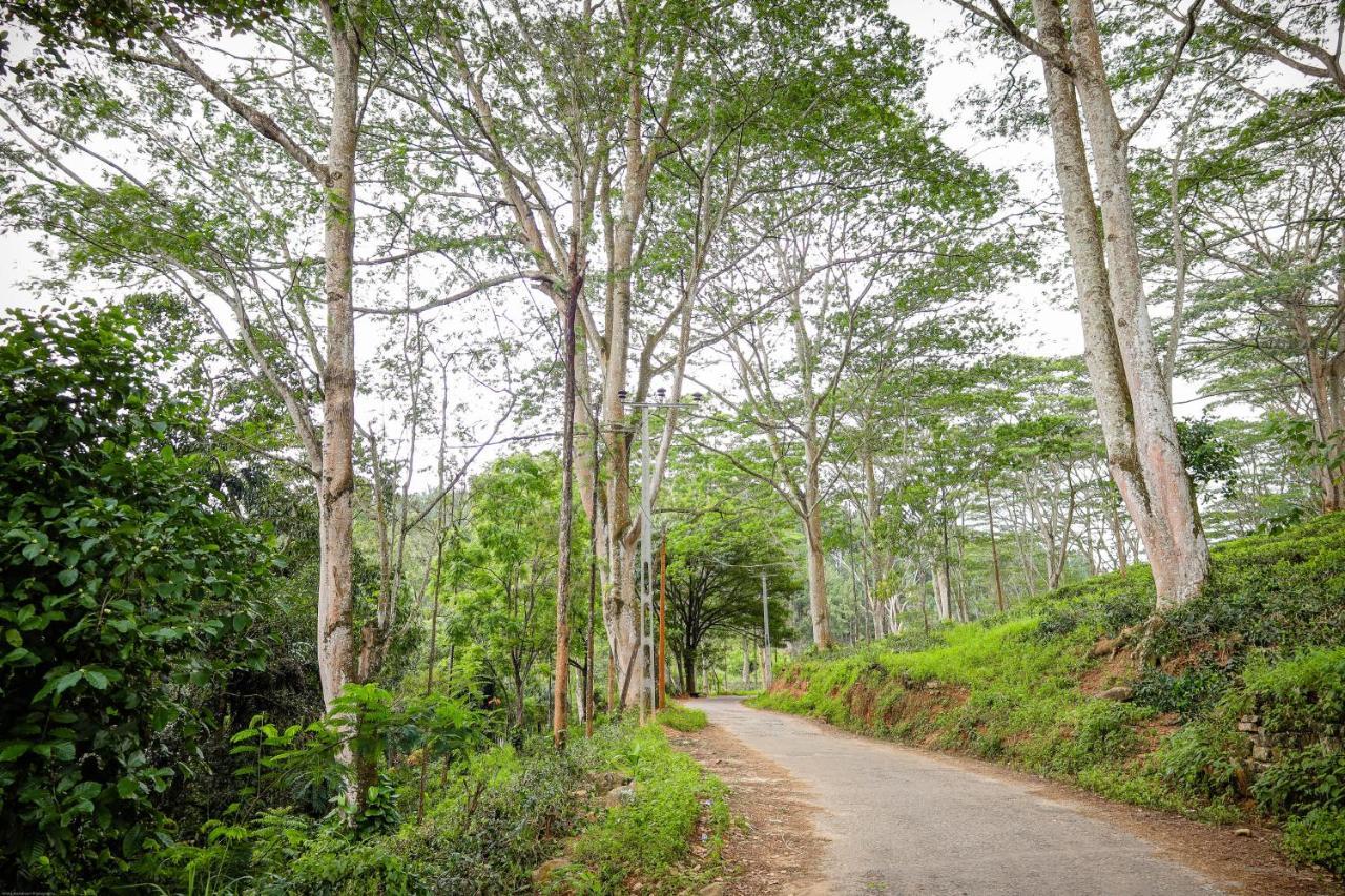 Tranquilisle Hotel Kandy Buitenkant foto