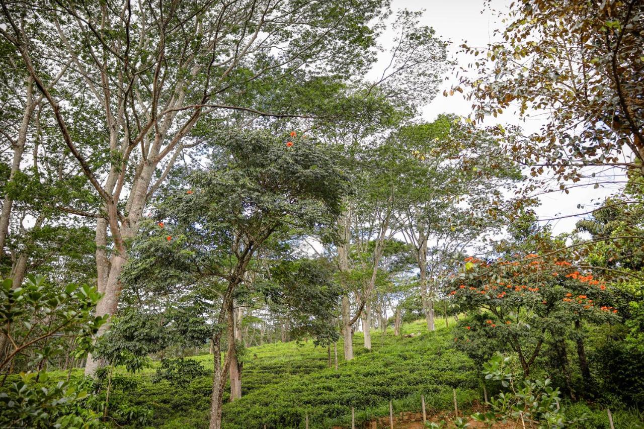 Tranquilisle Hotel Kandy Buitenkant foto
